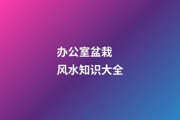 办公室盆栽 风水知识大全